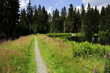 Semmelwieser Teich Oberharzer Wasserwirtschaft 820 Bilder